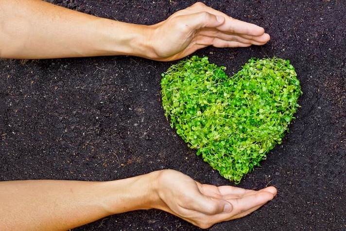 photo-hands-holding-green-heart-shaped.jpg