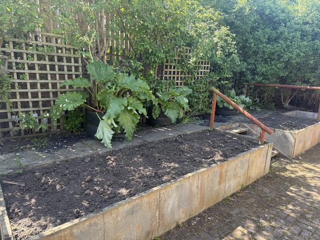 The east side of PEP's community garden