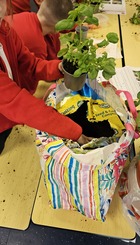 2024-09 Growing to Love- Herb planting hands 1.jpg