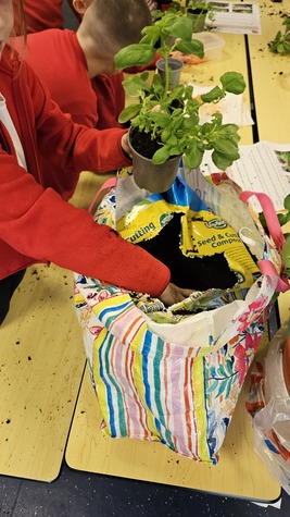 2024-09 Growing to Love- Herb planting hands 1.jpg