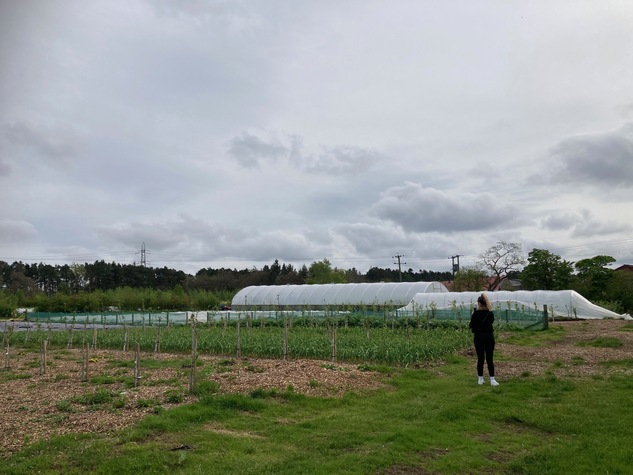 Untitled - 1 of 1 (2).jpeg