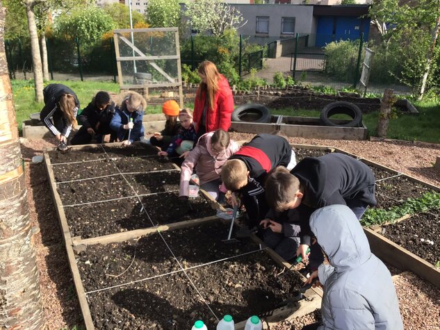 Pupils practicing square foot gardening techniques