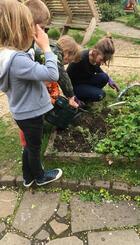Parent led gardening sessions with pupils of the school