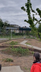Garden @ the Snake