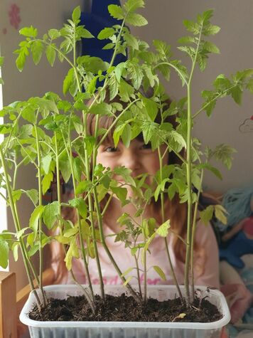 Growing future growers! Growing future growers!